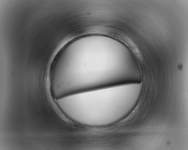 X0000102770796200808180954