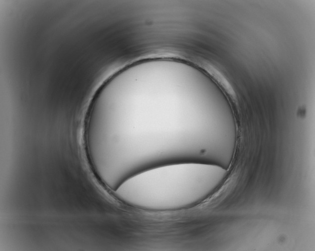 X0000102770797200808180954