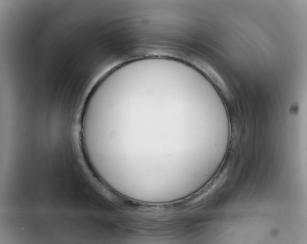 X0000102770798200808180954