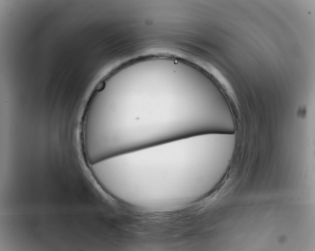 X0000102770799200808180954