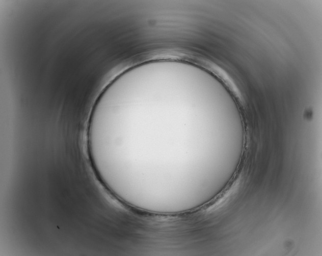 X0000102770802200808180954