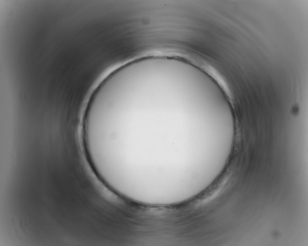 X0000102770803200808180954