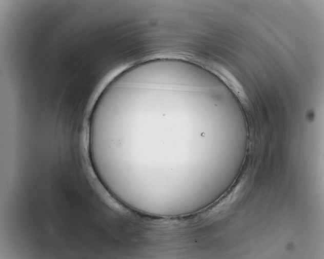 X0000102770804200808180954