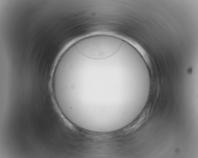 X0000102770807200808180954