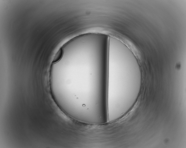 X0000102770808200808180954