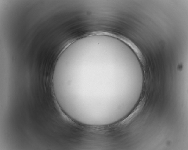 X0000102770809200808180954