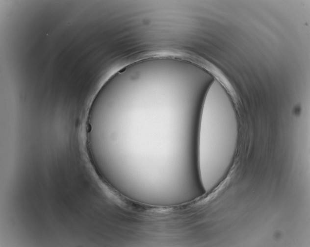X0000102770810200808180954