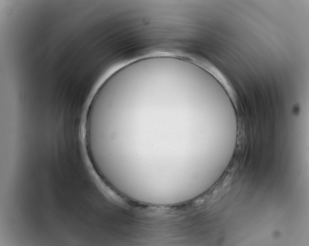 X0000102770811200808180954