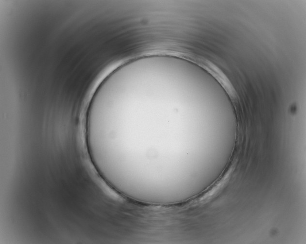 X0000102770812200808180953