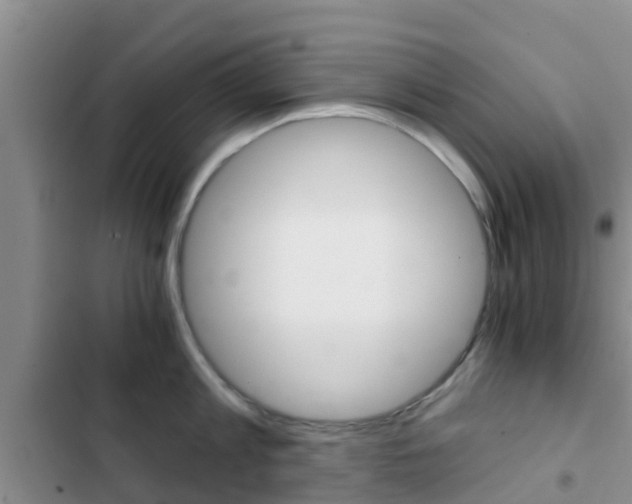 X0000102770813200808180953