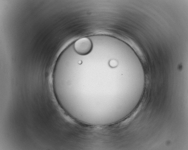 X0000102770814200808180953