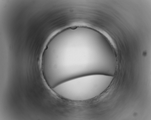 X0000102770815200808180953