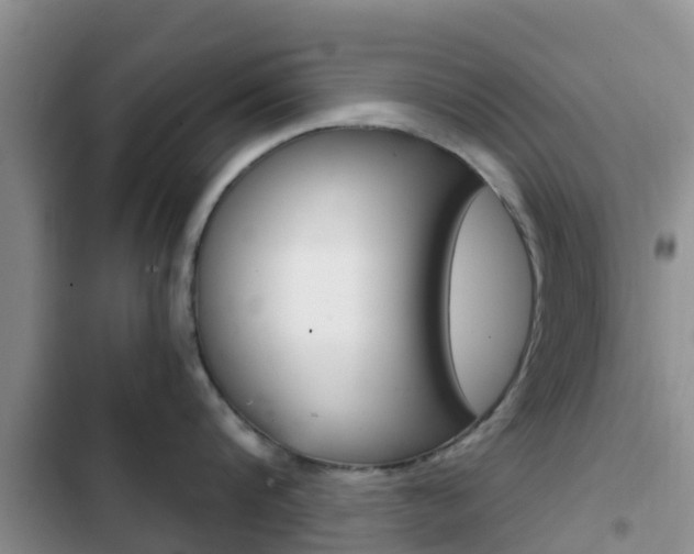 X0000102770816200808180953