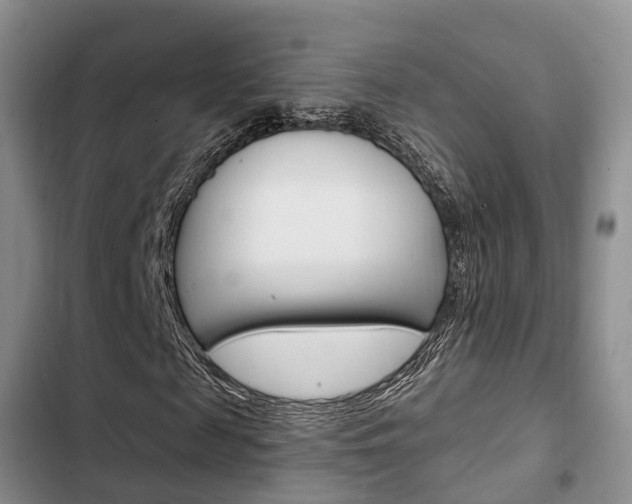 X0000102770817200808180953