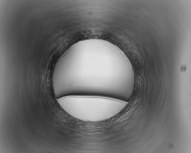X0000102770818200808180953