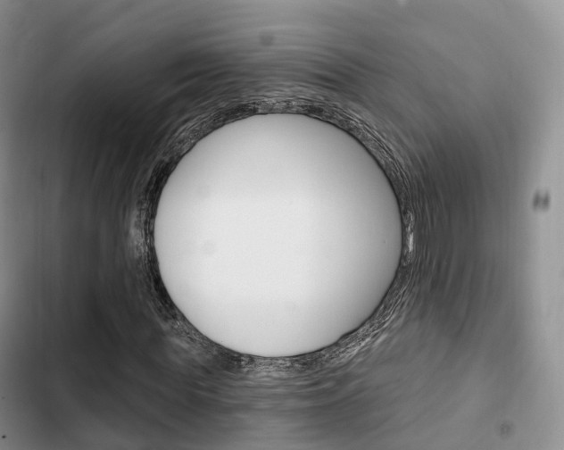 X0000102770819200808180953