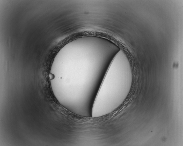 X0000102770822200808180953