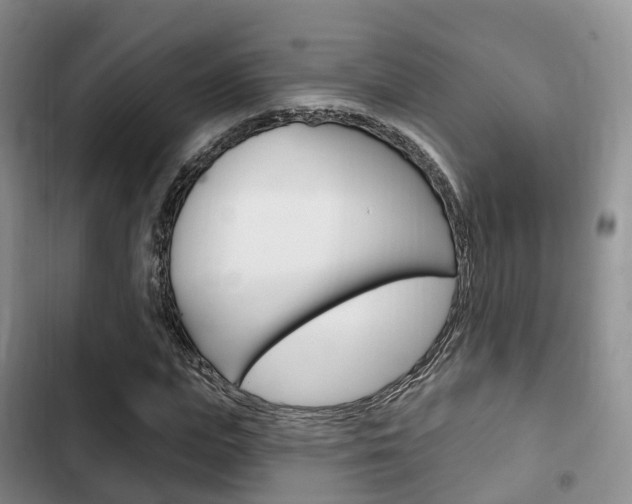 X0000102770823200808180953