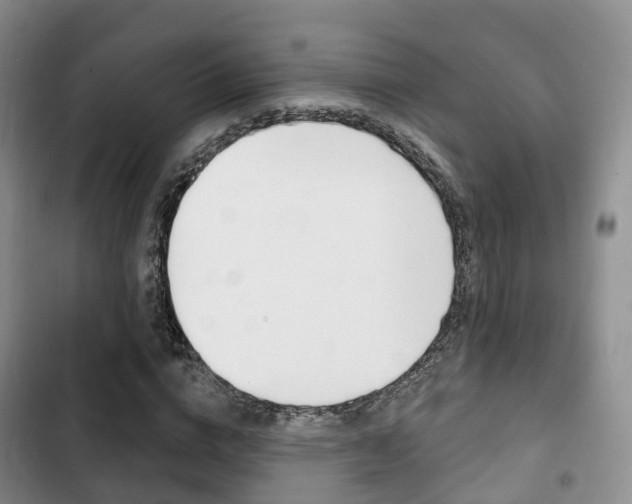 X0000102770824200808180953
