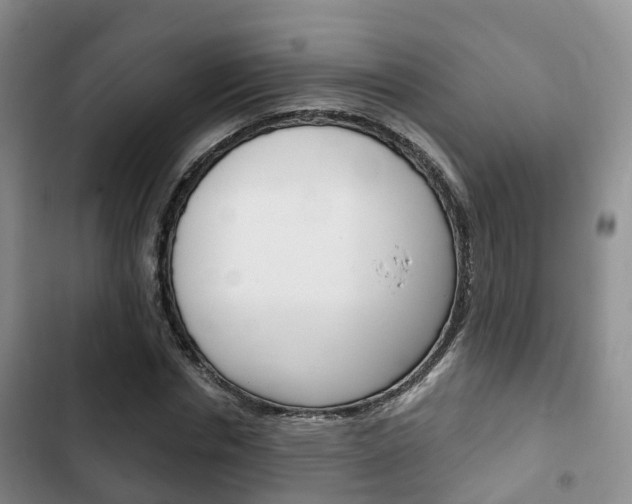 X0000102770826200808180953