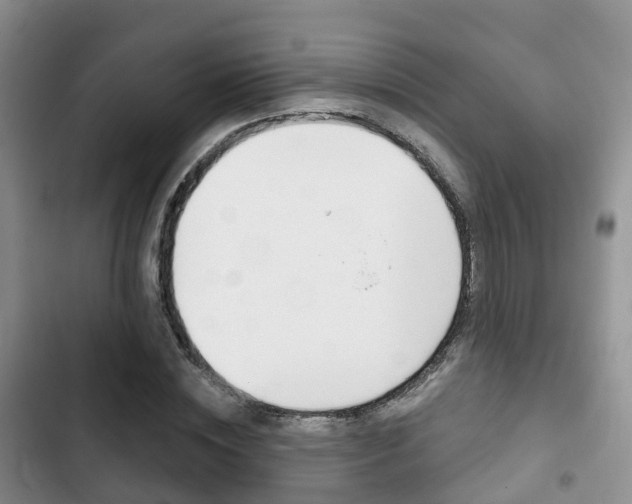 X0000102770828200808180953
