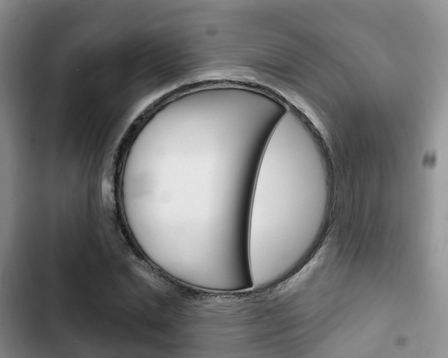 X0000102770830200808180953