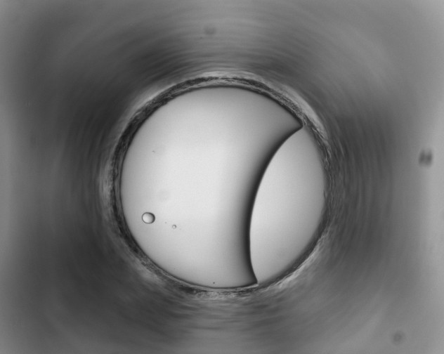 X0000102770831200808180953