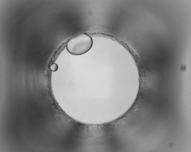 X0000102770832200808180953