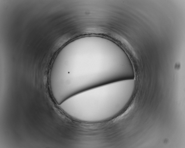 X0000102770833200808180953