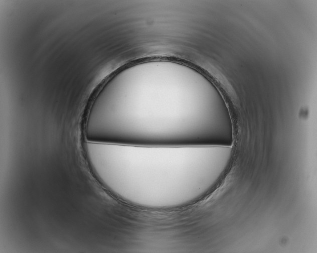 X0000102770834200808180953