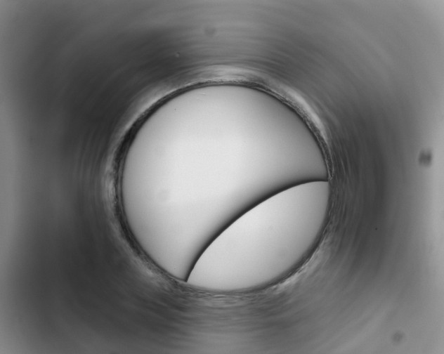X0000102770835200808180953