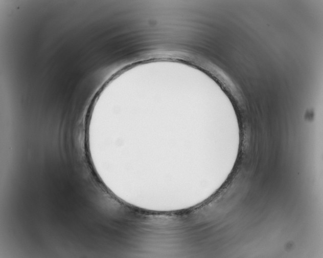X0000102770836200808180953