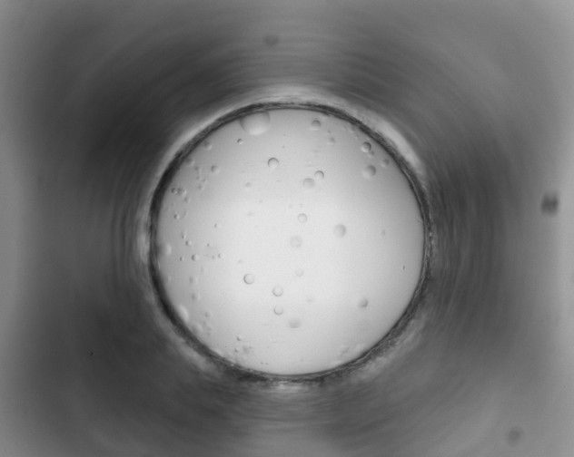 X0000102770839200808180953