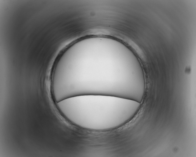 X0000102770840200808180953