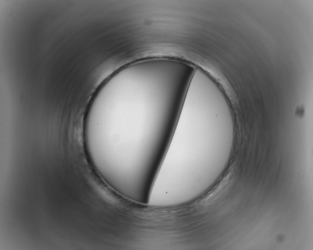 X0000102770842200808180953
