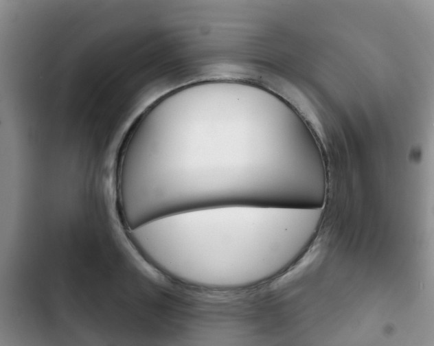 X0000102770843200808180953