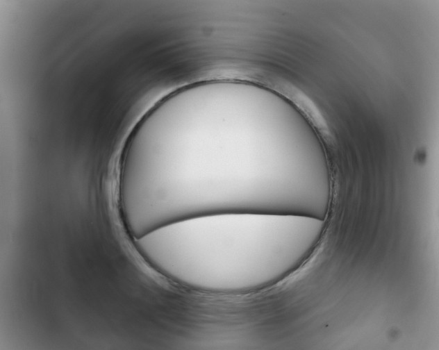 X0000102770844200808180953