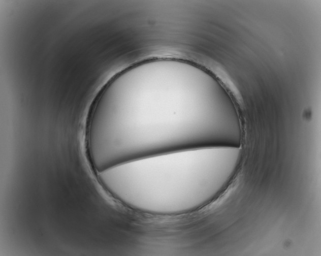 X0000102770845200808180953