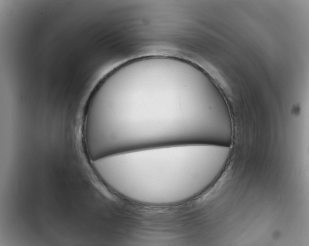 X0000102770846200808180953