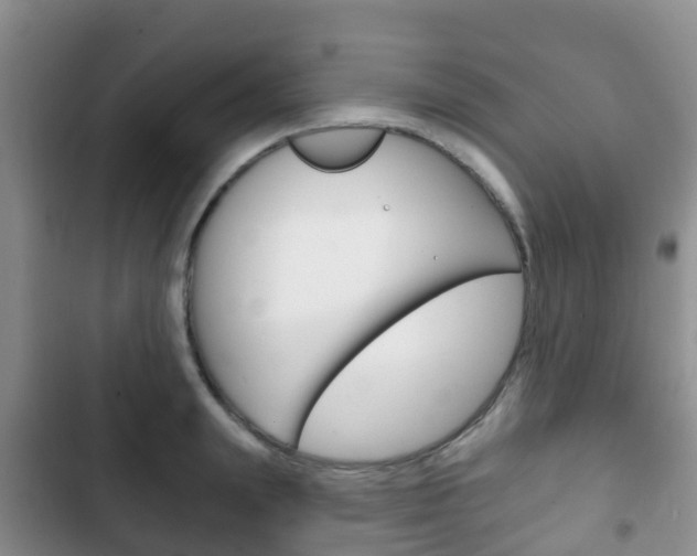 X0000102770847200808180953