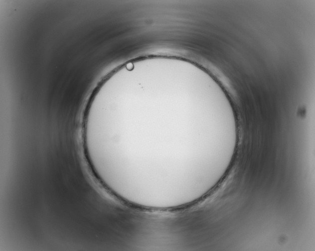 X0000102770848200808180953