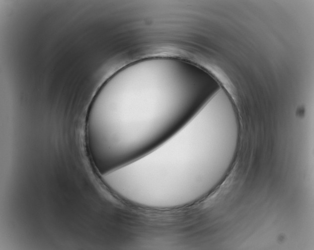 X0000102770850200808180953