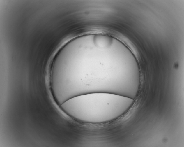 X0000102770851200808180953