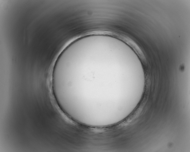 X0000102770852200808180953