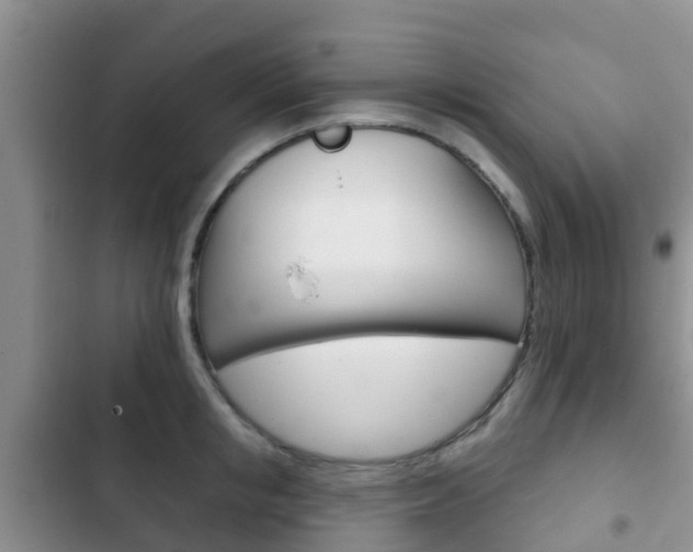 X0000102770853200808180953