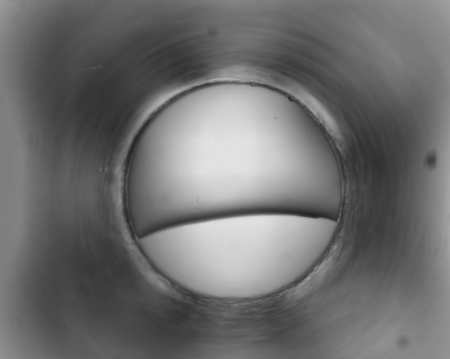 X0000102770854200808180953