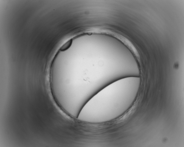 X0000102770855200808180953
