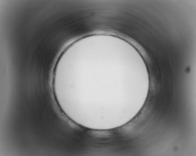 X0000102770856200808180953
