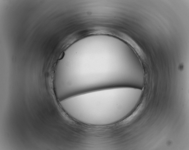 X0000102770857200808180953