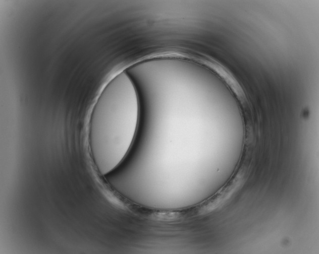 X0000102770858200808180953